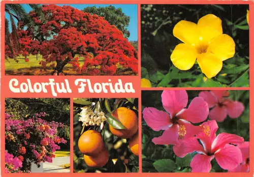 us7214 bunt florida usa