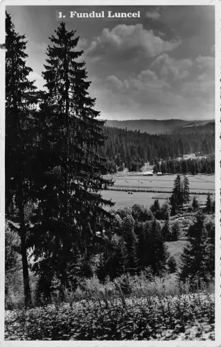 B19489 Fundul Luncei Echtfoto Rumänien