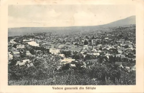 b3008 vedere generala din saliste Selischte Szelistye sibiu romania
