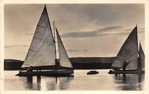 B41303 Balaton Ungarn