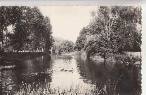 BF25848 la chartre sur la loir sarthe les bords du loir france front/back image