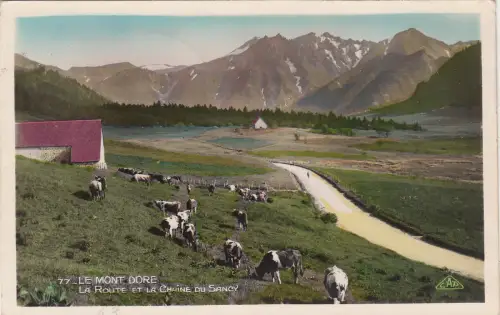 BF26001 le mont dore cow la route et la chaine du sancy france front/back image