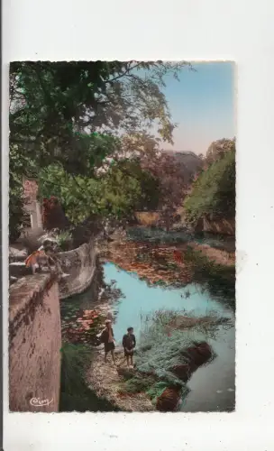 BF27340 noyers sur serein yonne berges du serein france front/back image