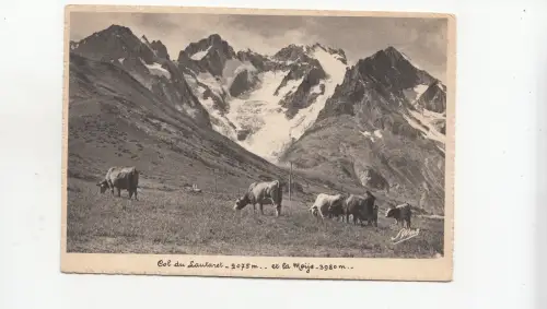 BF27832 col du lautaret la meije cow vaches france front/back image