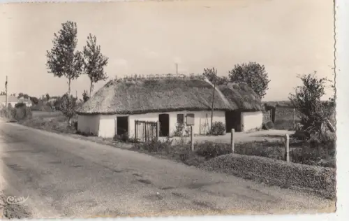 BF27519 vissons en vendee une bpourine france front/back image