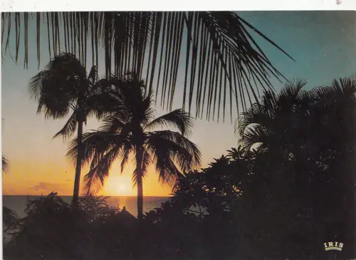 BF28387 africa coucher de soleil front/back image