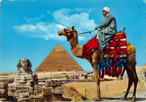 B95491 Kamel die große Sphinx von Gizeh Ägypten Afrika