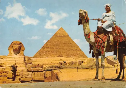 B95490 Gizeh Kamel Ägypten Afrika die Große Sphinx