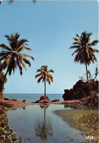 BR26015 Afrika Paysage de cocotiers Afrika