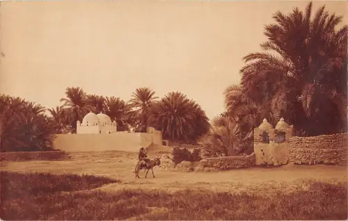 BF9037 Typen Afrika Landschaftsaffe Afrika