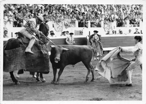 BF40412 toros y toreros una pica une pica france corrida toros bull taureau