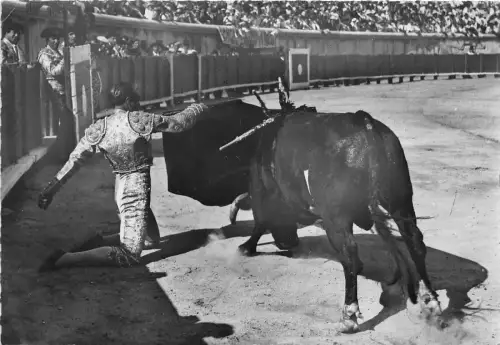 BF40413 corrida une belle passe a genoux france corrida toros bull taureau