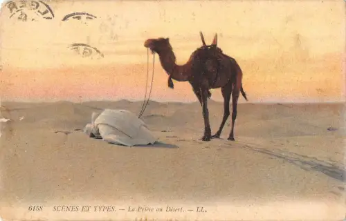 BR72399 la priere au desert camel types folklore kostüme afrika