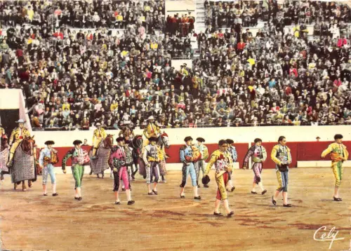 BF40402 paseo giron france corrida toros bull taureau