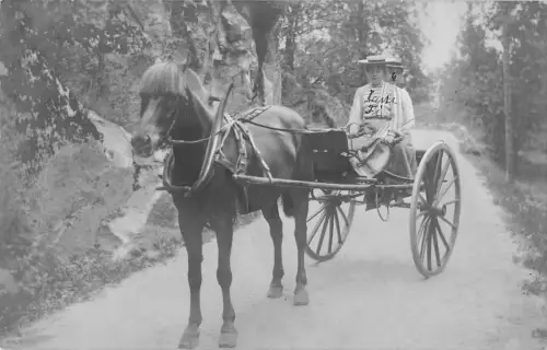 B95230 nes i hallingdal echtfoto wagen typen folklore norwegen