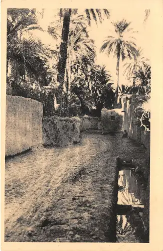 Lot218 dans le vieux biskra algeria africa