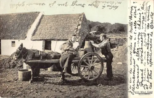 BR81533 irischer Milchwagen Killarney Typen Folklore Esel Irland