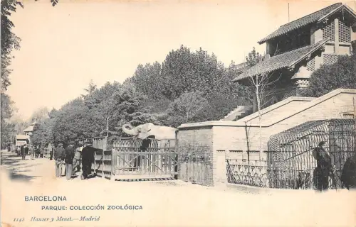 Br33367 Barcelona Parque Coleccion Zoologica Spanien