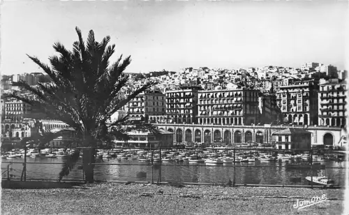 BR17341 Alger vu de amiraute algeria africa