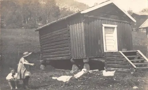 B95295 Foto echte norwegische Kinder mit Gans