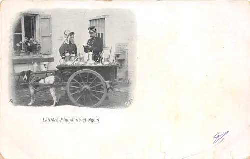 B93217 laitiere flamande et agent types dog chart belgien