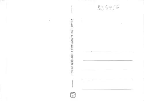 B54956 Rheinfall Schweiz