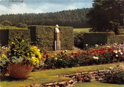 BG10282 Bad Driburg am Teutoburger Wald Rosengarten Germany