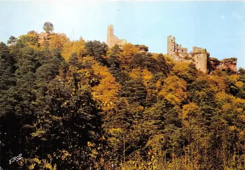 BG10533 luftkurort dahn pfalz burgruine altdahn germany