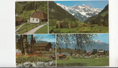 BF29005 Flueli Runft Multi Views Schweiz Front/Back Bild