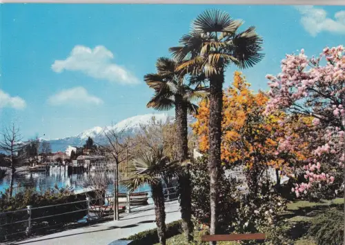 BF23988 Locarno Lago Maggiore Schweiz Vorder-/Rückbild