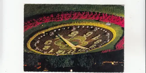 BF29202 geneve switzerland l horloge fleurie illuminee front/back image