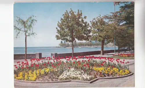 BF24021 lausanne ouchy le quai et le port switzerland front/back image