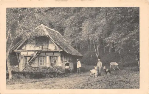 BR42480 Morteau Chevre Ziege Frankreich