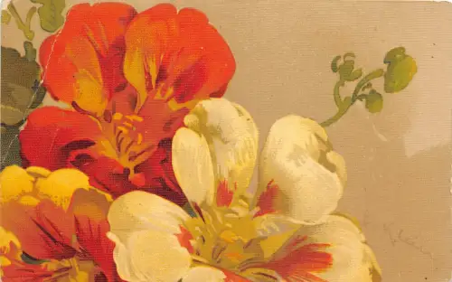 Lot137 Catharina Klein Künstler signiert Blume Deutschland Postkarte Gemälde