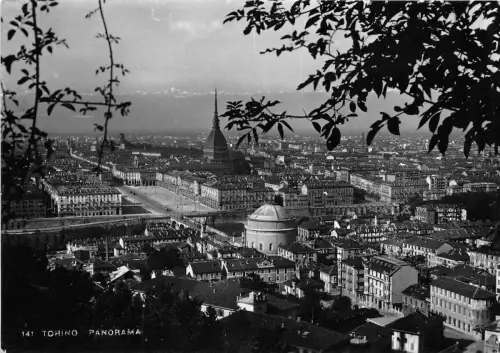 BR6762 Torino Panorama italy