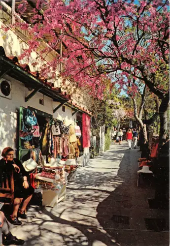 us8257 via tragara capri italy