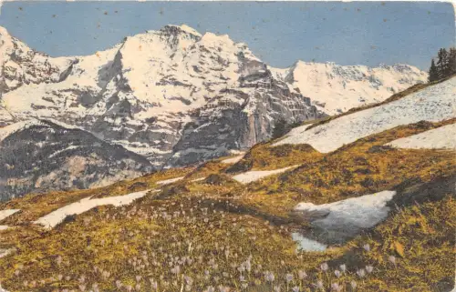 BR11523 jungfrau switzerland