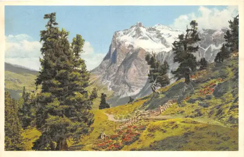 br104115 wetterhorn switzerland