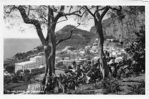 br107113 capri castellaccio italy