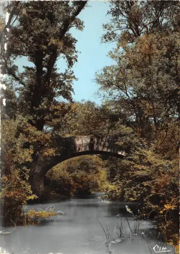 BR14553 St Jean de Maruejols Le Pont de Cavirac italy