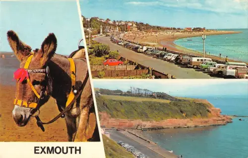 BR67099 the esplanade orcombe point exmouth donkey car voiture uk 14x9cm