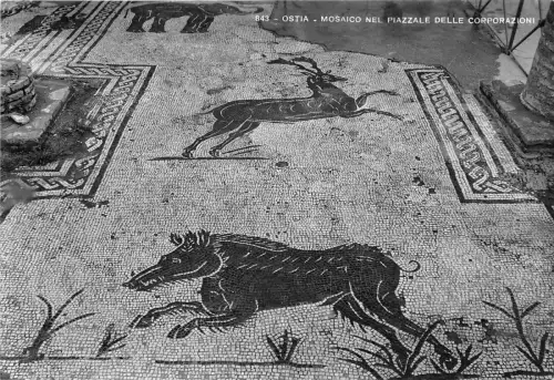 BF39200 Italien Ostia Bouar Verrat Cerf Hirsch Tier Animaux