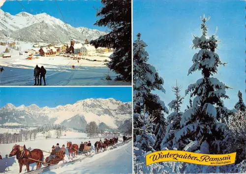 BT4574 Pferd chevaux winterzauber Ramsau a dachstein Österreich