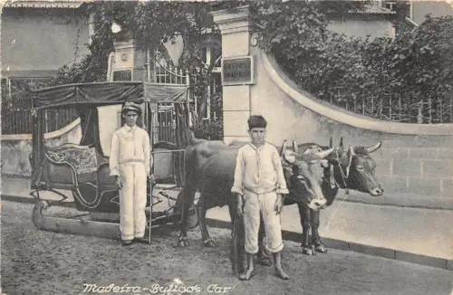 Lot225 Madeira Bullock Auto Portugal Typen Folklore Bulle