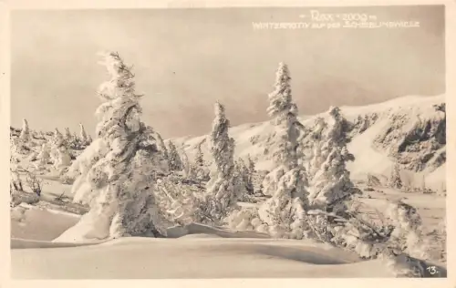 B44523 Rax Niederösterreich Winterlandschaft