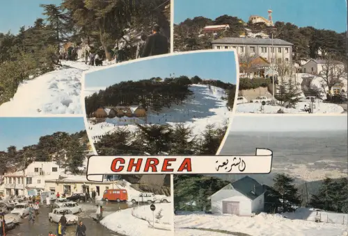 BF17702 chrea station de sport d hiver car algeria front/back image