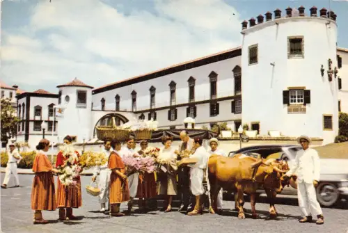 BR8389 Carro de Bois Funchal Madeira Portugal