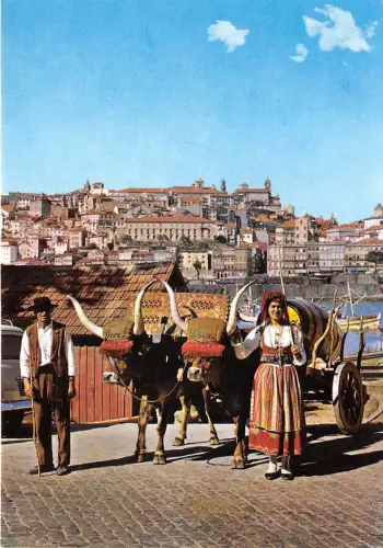 BR8448 Porto Kostüme Regionals Portugal