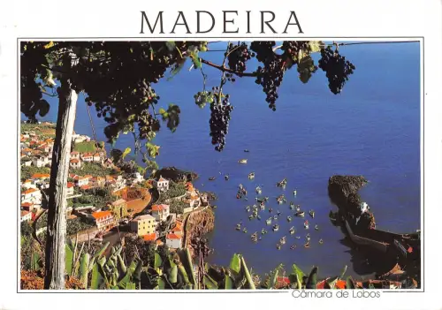 B96450 camara de lobos madeira portugal