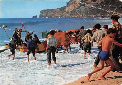 BR8444 Nazare La Traine des bateaux portugal